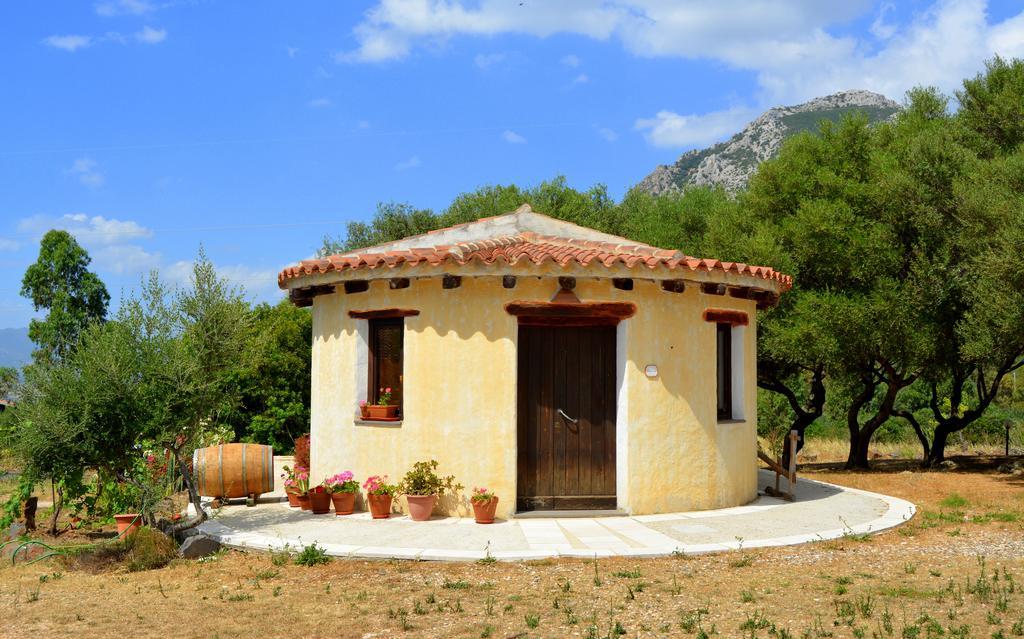 Agriturismo Rubinu Galtelli Room photo