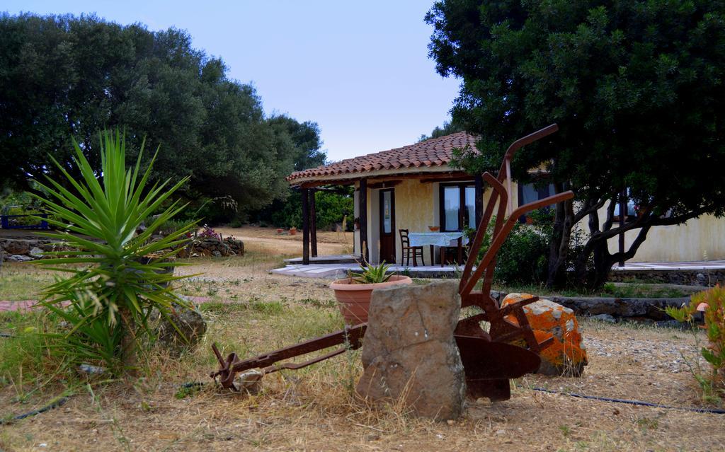 Agriturismo Rubinu Galtelli Exterior photo