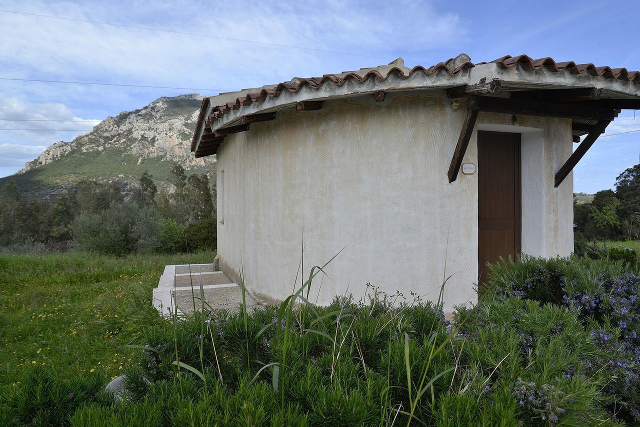 Agriturismo Rubinu Galtelli Exterior photo